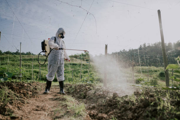 Best Local Pest Control Services  in Savanna, IL