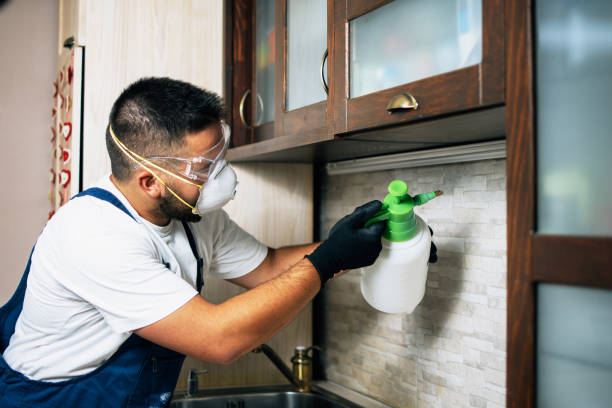 Best Pest Inspection Near Me  in Savanna, IL