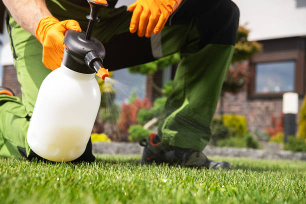 Professional Pest Control in Savanna, IL