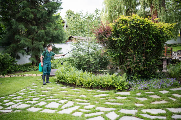 Best Pest Control Near Me  in Savanna, IL