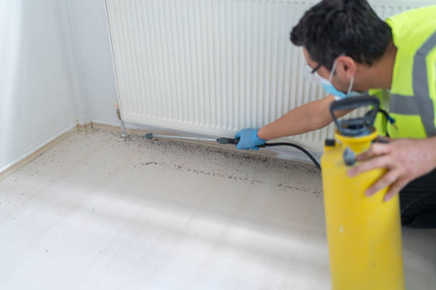 Best Best Pest Control Companies  in Savanna, IL